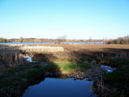 Current view of Belle Island looking towards the Cataraqui River.